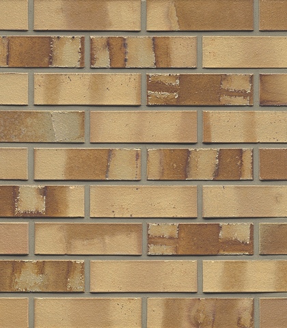 Muhr NF 06 Hellbraun-bunt spezial glatt